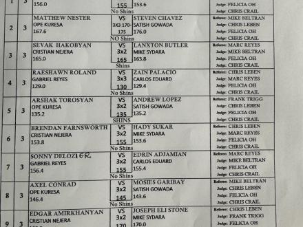 Fight card
